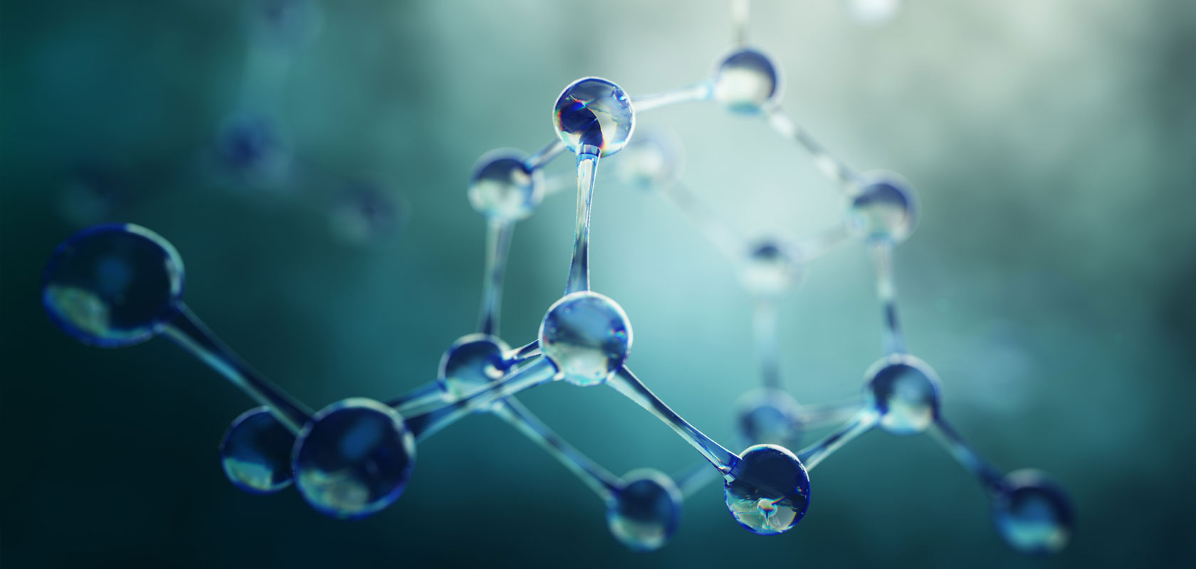 Polymer Connect 2026